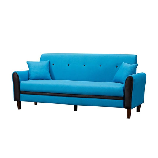 Living Room Modern Sofa with 2 Pillows