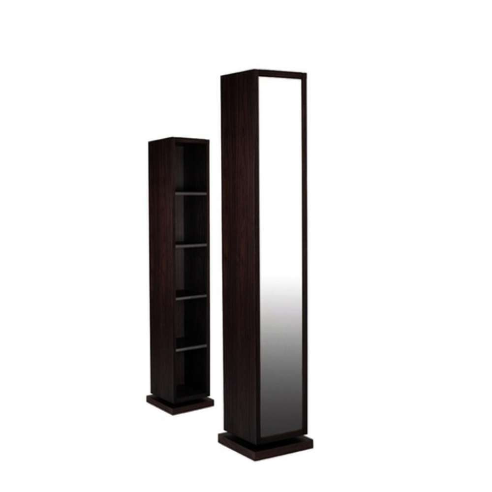 Rotating Mirrored Cabinet