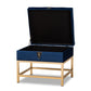 Aliana Luxe Velvet Storage Ottoman