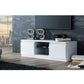 2-Door Cabinet TV Console – Modern Media Unit | Zavior Furniture