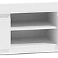 Modern 2-Door Cabinet TV Console Stand – Zavior Furniture Dubai
