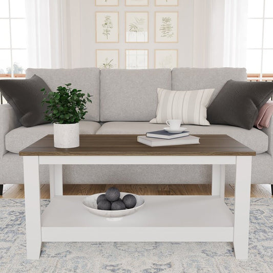 Feldt Ply Wood Coffee Table with Storage
