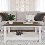Feldt Ply Wood Coffee Table with Storage