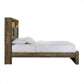 Picket House Furnishings Beckett Full Bookcase Panel 3PC Bedroom Set