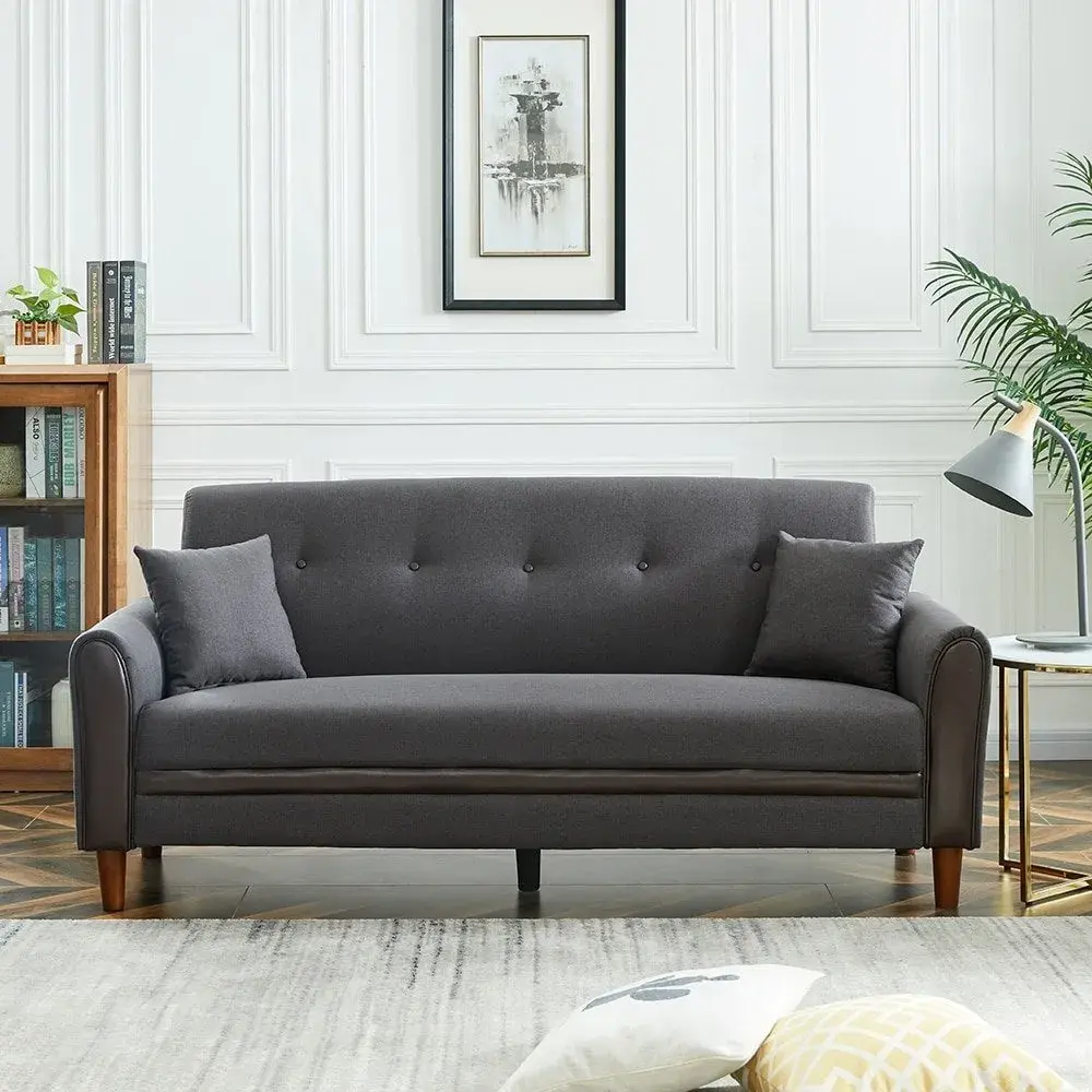 Living Room Modern Sofa with 2 Pillows – furniture