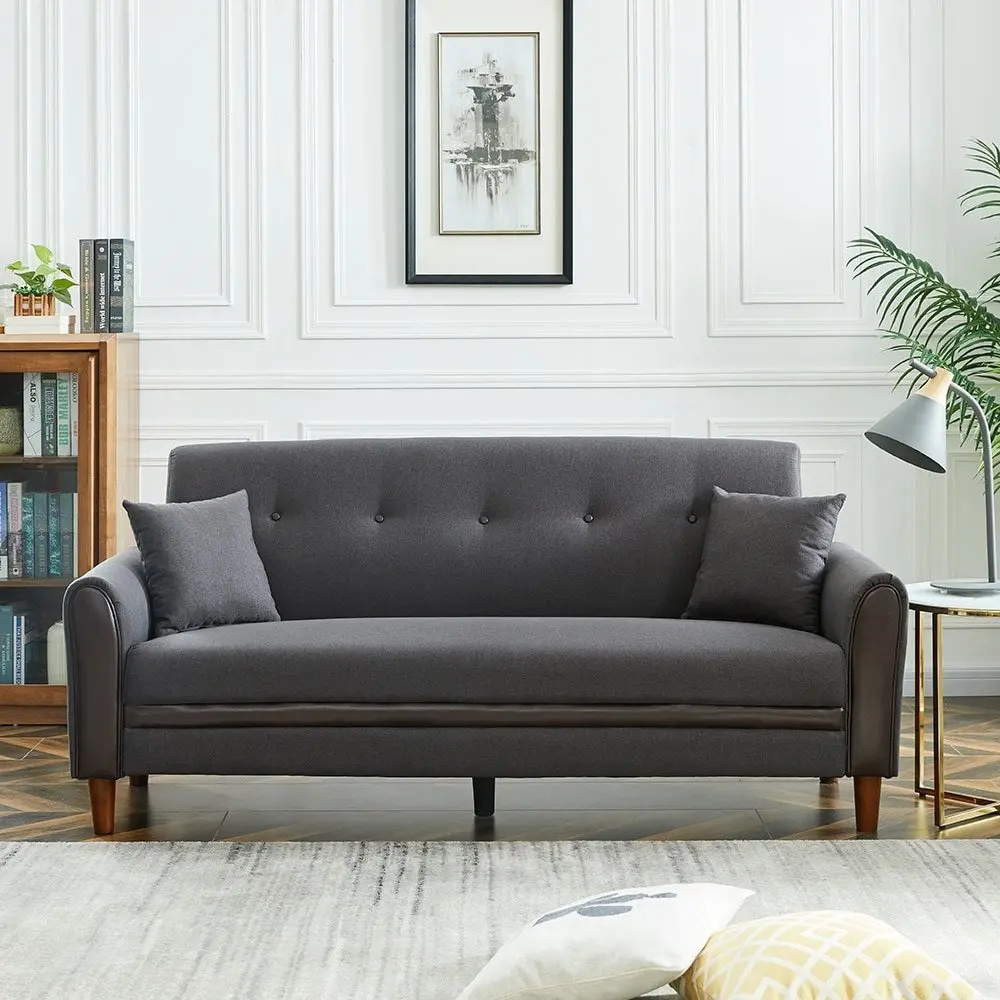 Living Room Modern Sofa with 2 Pillows – furniture