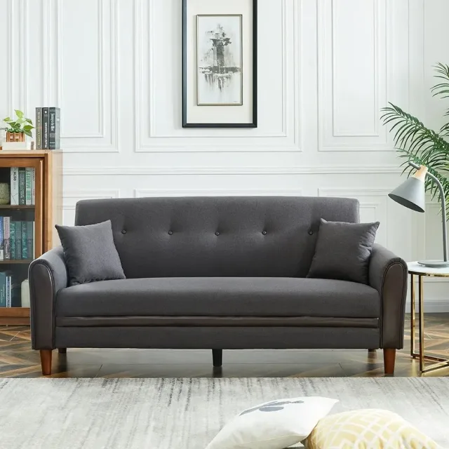 Living Room Modern Sofa with 2 Pillows – furniture