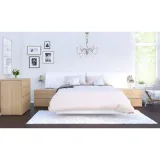 Zavior Fernon 2 Drawer Nightstand thumbnail 5